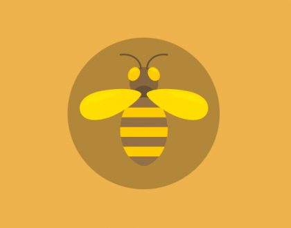 Оборудование для пчеловодства и предприятия